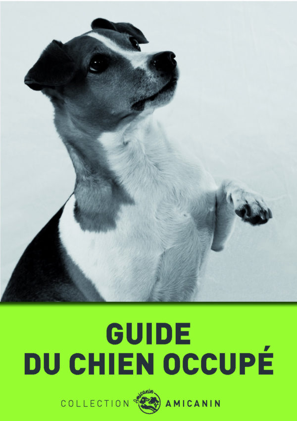 Guide du chien occupé - de nouvelles activites pour mon chien 2 page 01