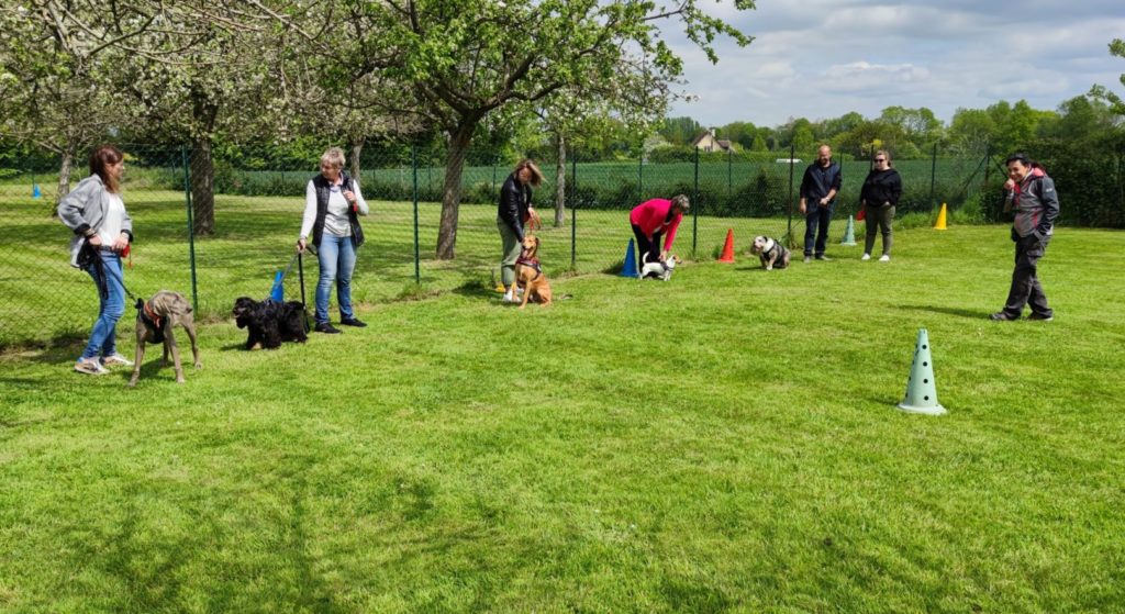 Cours du jeudi au top - IMG 20220505 150224 e1652099307292
